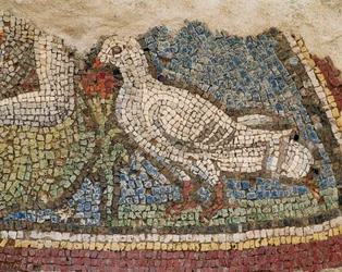 Una colomba. Mosaico proveniente dalle case di pendio di Efeso, Turchia