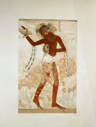 Una ballerina africana ...