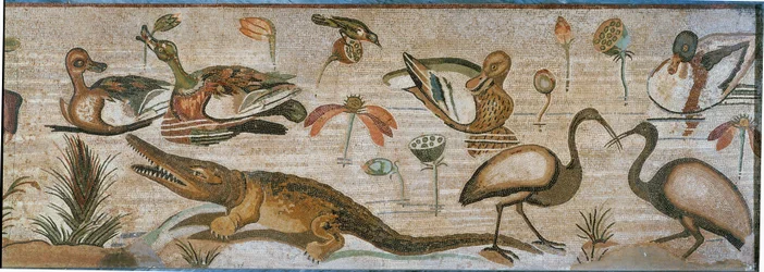 Animali acquatici. Parte di una fascia di mosaico proveniente da Pompei, Italia