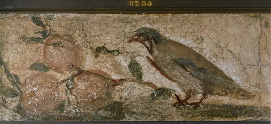 Uccelli e frutti da Pompei, Italia (murale)