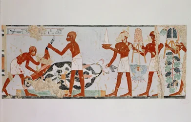 Macellai e portatori di offerte ...