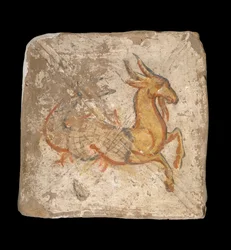 Capricorno 244-245 CE ...