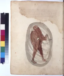 Pagina intera: palombaro con scafandro, 1430 circa (disegno a penna colorata)