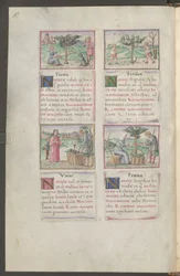 Pagina intera: testo e miniature (disegno a penna in marrone con acquerello)