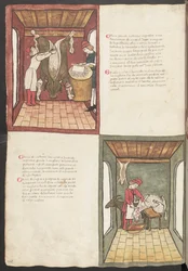 Pagina intera: testo e miniature: " Carne grande nostrana ingrassata " (miniatura)