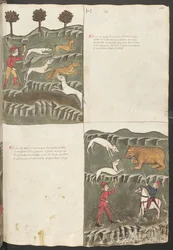 Pagina intera: testo e miniature: " Carne le lepore " - caccia alla lepre e alla volpe: " Carne de orso " - caccia all