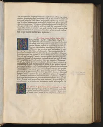 Pagina intera: testo con due iniziali "P".