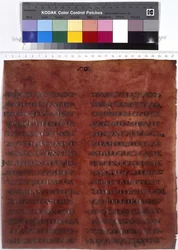Pagina di testo completo