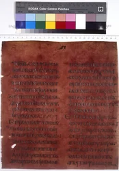 Pagina di testo completo ...