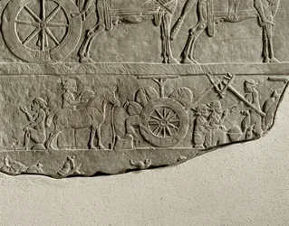La campagna del re Ashurbanipal contro l