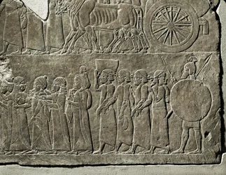 La campagna del re Ashurbanipal contro l