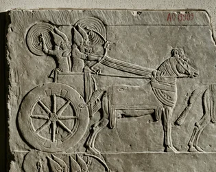 La campagna del re Ashurbanipal contro l