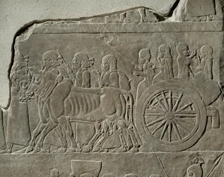 Campagna del re Ashurbanipal contro l