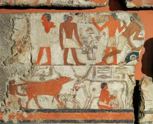 Murale dalla tomba del faraone Metchetchi ...