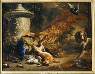 Natura morta con pavone e cane …