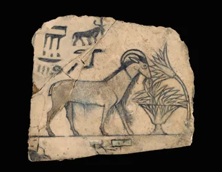 Ostracon con disegno di un ariete ...