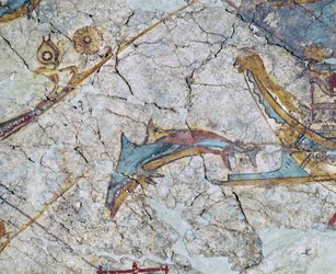 Prua di nave e delfino