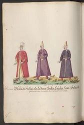 Il serraglio della sultana: gli eunuchi