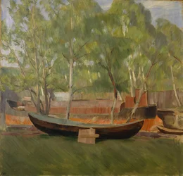 Barca sulla terra