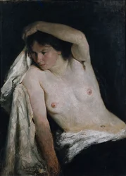 Mezzo nudo femminile