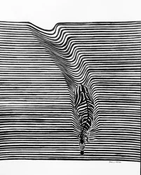 Illusione ottica della zebra