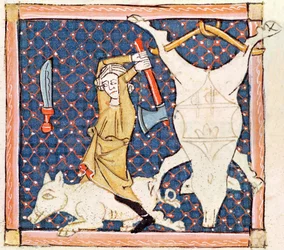 Fol.59v Dicembre: Uccisione di maiali (pergamena)