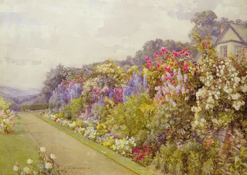 Border di delphinium, a 