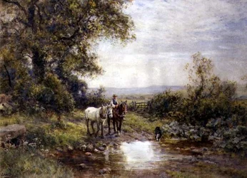 Cavalli vicino a un Ruscello