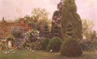 Polli in un Giardino
