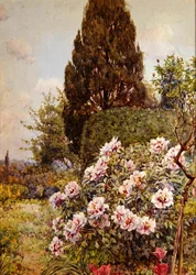 Peonie, Coddington, vicino a Ledbury