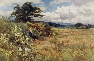Terreno in salita