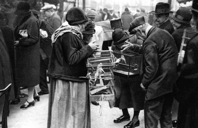 Un gruppo di acquirenti di canarini, Parigi, 1931