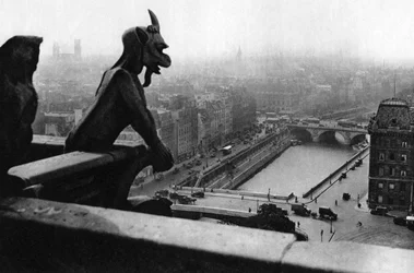 La Senna vista da una torre di Notre Dame, Parigi