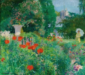 Elegante in un Campo di Papaveri
