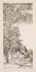 Strada di campagna