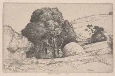 Mucchio di fieno