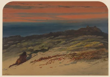 Caccia alle foche, 1871