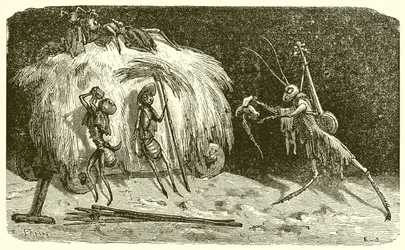 Le formiche e la cavalletta