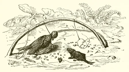 Il cacciatore e l