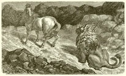 Il cavallo e il leone
