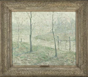 Nebbia mattutina