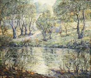 Sentiero verso il fiume