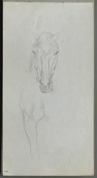 Taccuino degli schizzi, pagina 09: Studio di un cavallo