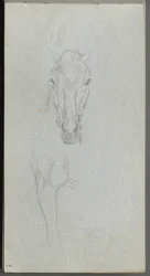 Taccuino, pagina 09: Studio di un Cavallo