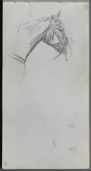 Taccuino degli schizzi, pagina 21: studio di un cavallo