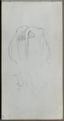 Quaderno degli schizzi, pagina 33: Studio di una mucca da dietro e Studio di profilo