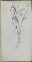 Taccuino, pagina 48: Studio di un cavallo
