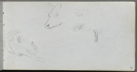 Quaderno degli schizzi, pagina 53: Studio di animali e studio di alberi
