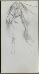 Taccuino, pagina 55: Studio per un cavallo