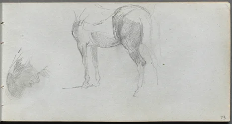 Taccuino, pagina 73: Studio di un cavallo, profilo